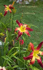IMG_1695.webp