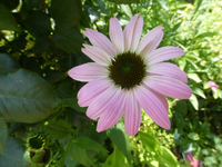 P1460371.webp