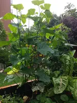 20150709_112759.webp