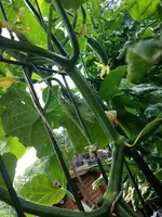 20150709_113024.webp