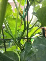 20150709_113008.webp