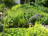 DSCN8876.webp