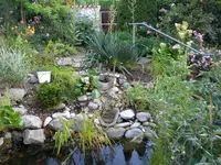DSCN9414.webp