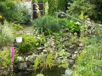 DSCN9435.webp