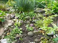 DSCN9437.webp