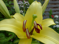 P1460296.webp