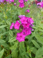 DSCN2829.webp
