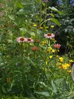 DSCN2826.webp