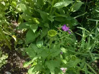 DSCN2824.webp