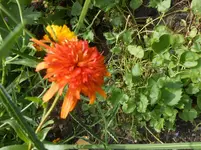 DSCN2823.webp