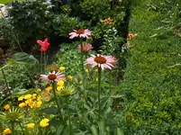 DSCN2822.webp