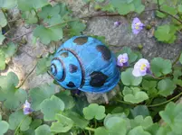 001.webp