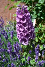 DSC_4891.webp