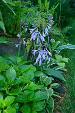 DSC_4904.webp