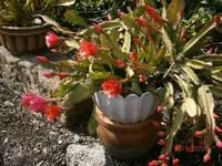 P7090642.webp