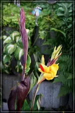 comp_DSC09580.webp