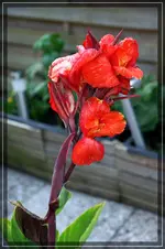 comp_DSC09541.jpg