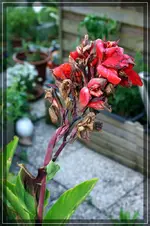 comp_DSC09582.webp