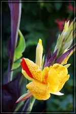 comp_DSC09578.webp