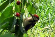 DSCN7489.webp