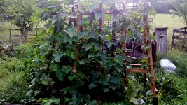 IMG_20150709_183133.webp