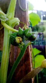 IMG_20150709_183234.webp