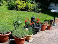 2015-07-07 Machtloser Brunnen.webp
