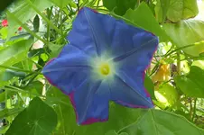 DSCF1983.webp