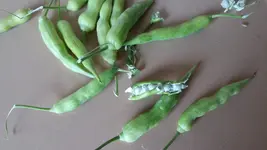 20150710_084551.webp