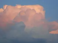 DSCN1587.webp