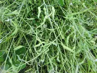 CIMG8568.webp