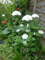 P1460610.webp