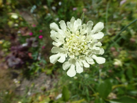 P1460397.webp