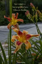 IMG_1728.webp
