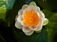 002.webp