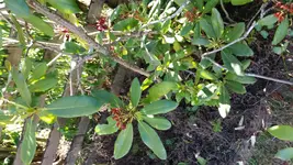20150710_183841.webp
