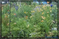 comp_DSC04063.webp