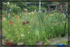 comp_DSC04065.webp
