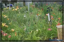 comp_DSC04066.webp