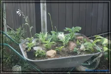 comp_DSC04078.webp