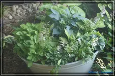 comp_DSC04079.webp