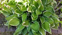 20150710_183530.webp