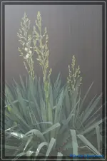 comp_DSC04085.webp