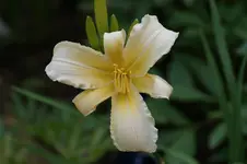 DSC04059.webp