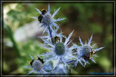 comp_DSC04089.webp