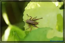 comp_DSC04092.webp
