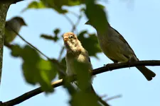 Familie Spatz_0010.webp