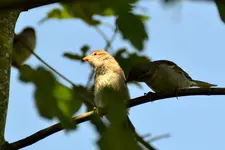 Familie Spatz_0012.webp
