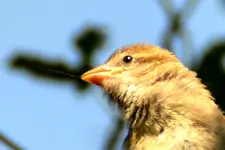 Familie Spatz_0013.webp