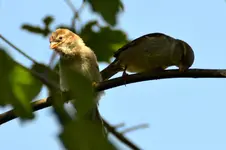 Familie Spatz_0016.webp